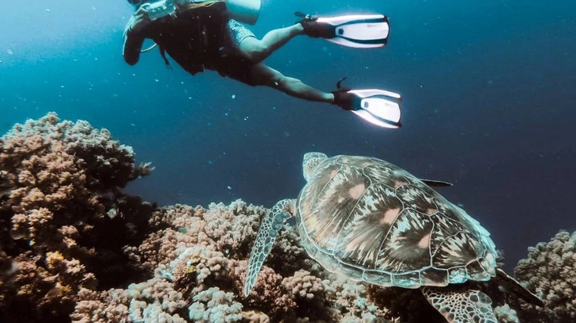 Daily Dalyan Diving Tour 3