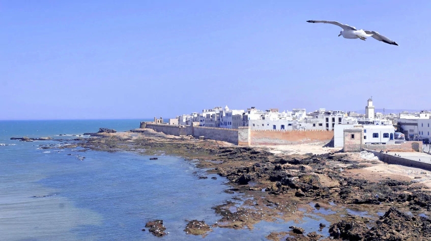 Discover Morocco With Essaouira Every Friday 1