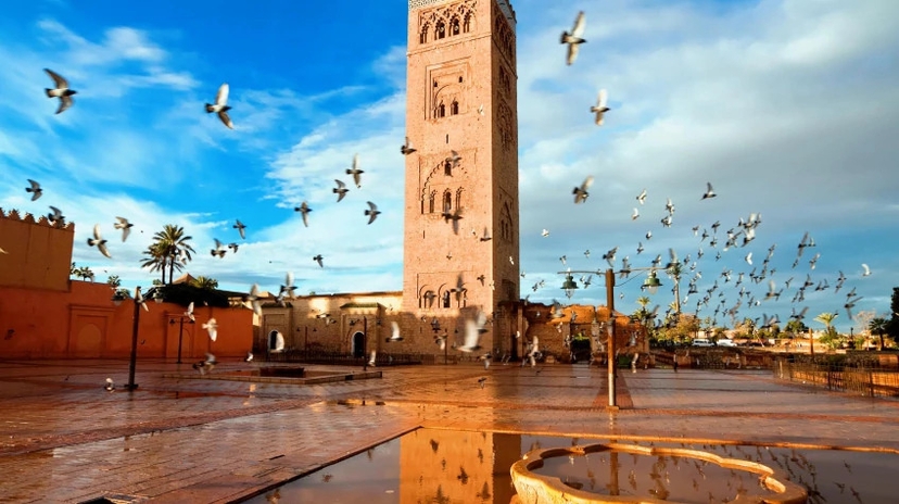 Discover Morocco With Essaouira Every Friday 3