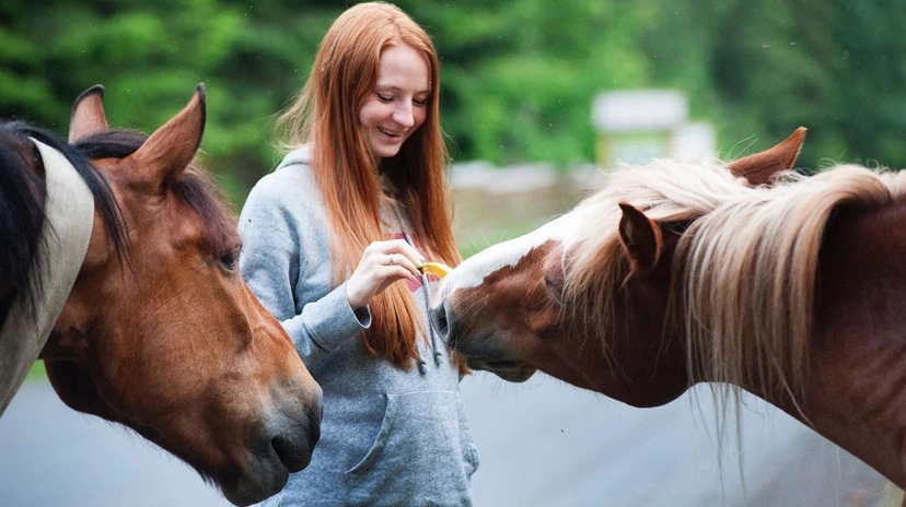 Daily Didim Horse Safari Tour 4