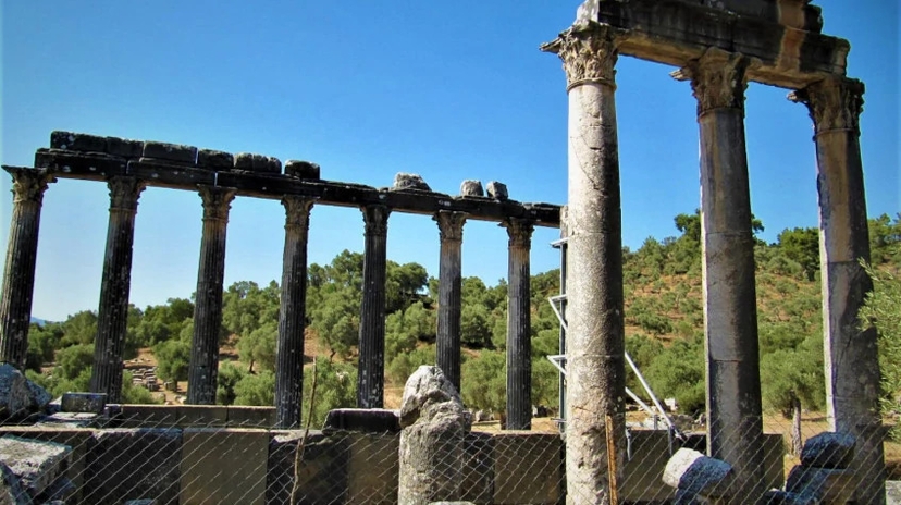 Daily Iasos and Euromos Tour from Didim 3