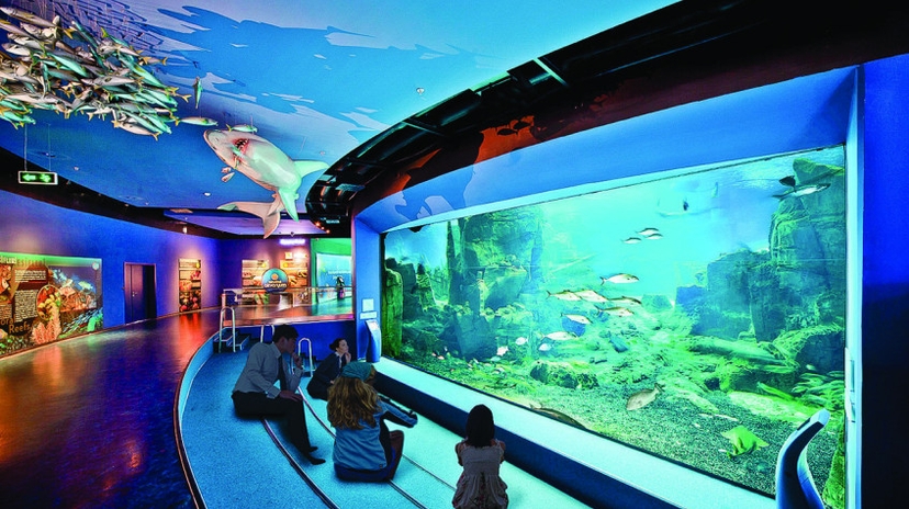 Aquarium & Aqua Florya Shopping Mall Tour Istanbul – Family-Friendly Marine Adventure 3