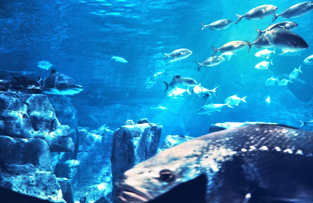 4 Days Istanbul Family Tour 23