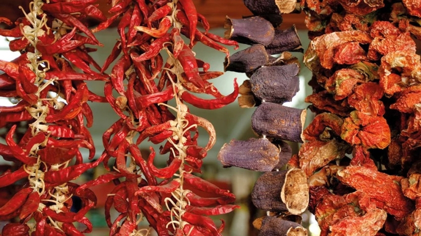 10 Days Accessible Explore Turkish Flavours Tour 2