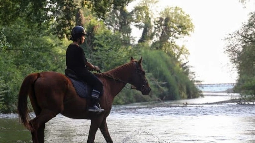 5 Days Horse Riding Package Bodrum Tour 2