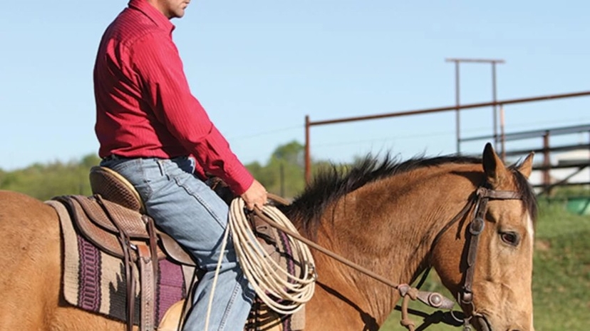 3 Days Horse Riding Package Bodrum 3