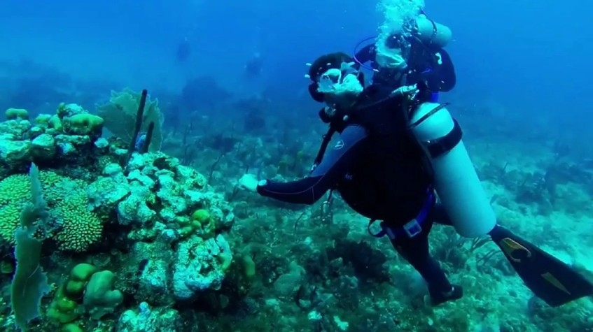 5 Days Istanbul Scuba Diving Tour 1