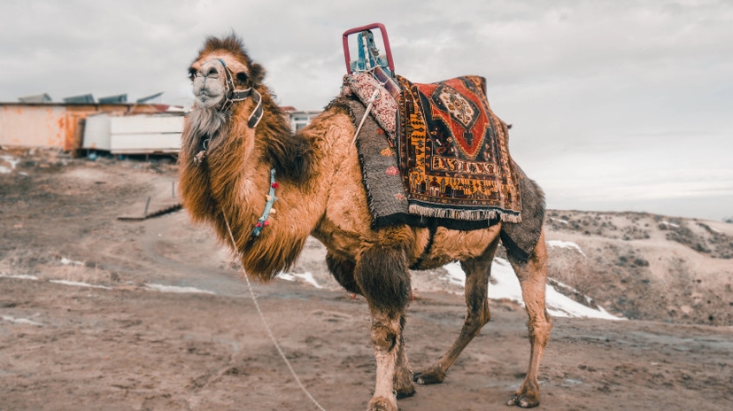3 Days Cappadocia City Tour 4