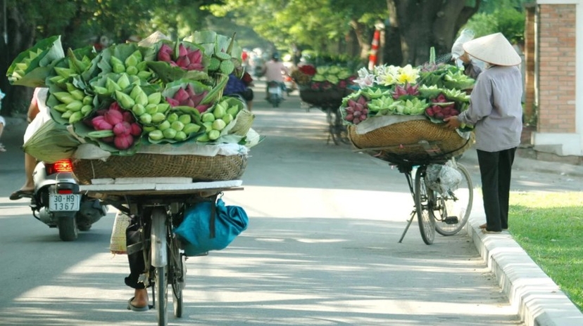 10 Days Vietnam in Style Tour 4