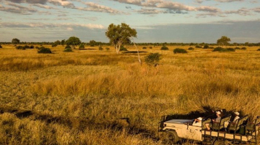 9 Days - Discover Zambia’s Luangwa Safari 3