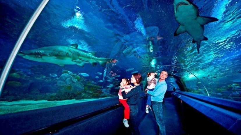 11 Days Family Aegean Mediterranean Tour Turkey 4