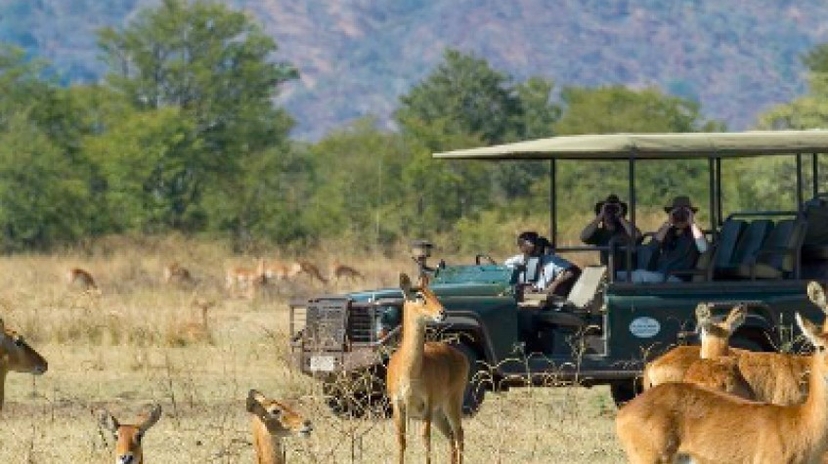 12 Days Classic Zambia’s Private Photographic Safari 2