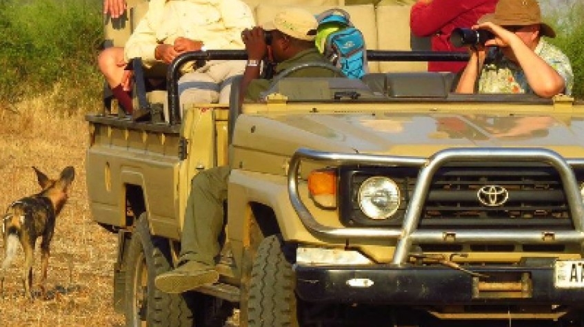 9 Days Safari in Zambia’s Animal Kingdom 1