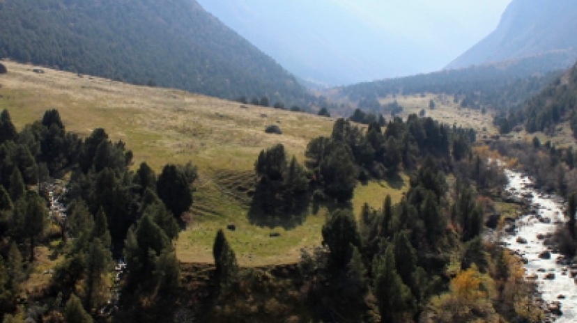 Hot Spring and Horse-Sleigh Tour from Bishkek City Kyrgyzstan, 2 Days 2