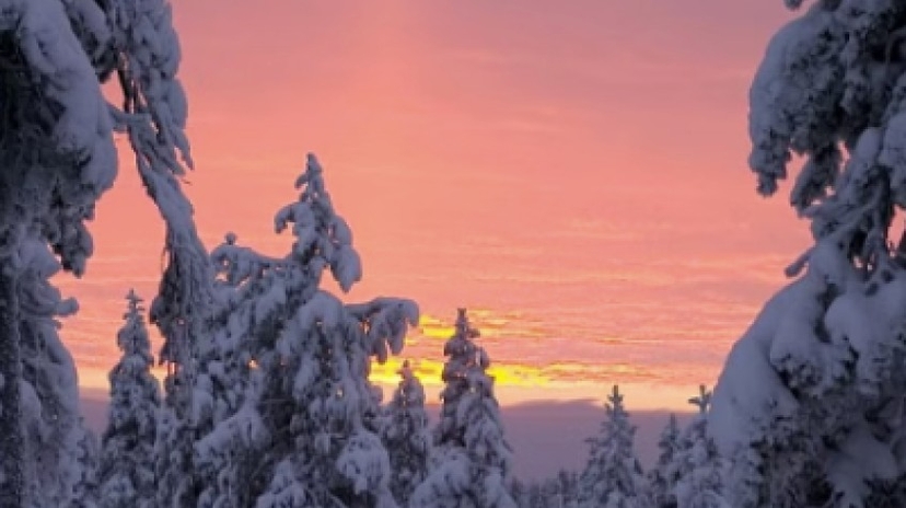 Highlights of Rovaniemi Day Tour 4