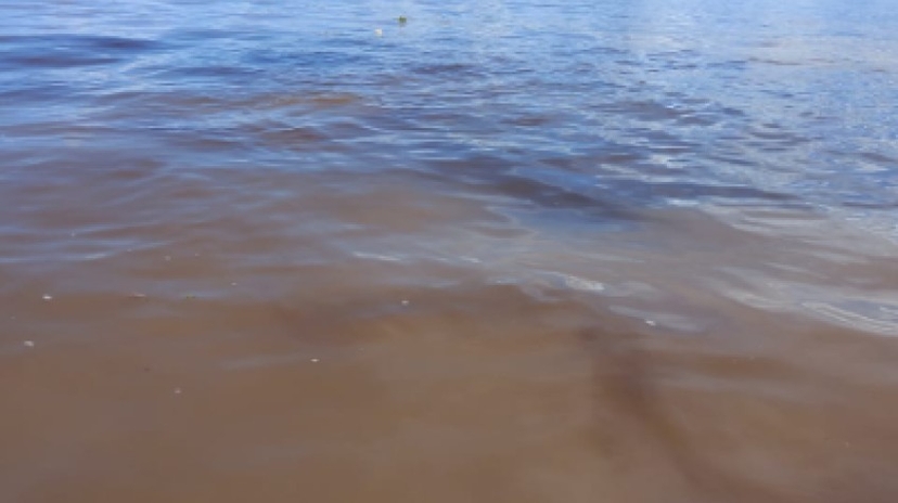Combo: Swimming With Dolphins, Indigenous Village and Meeting of the Waters 2