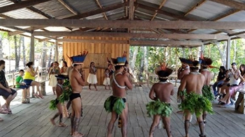 Combo: Swimming With Dolphins, Indigenous Village and Meeting of the Waters 4