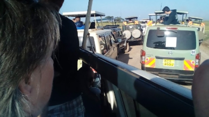 4 Days Masai Mara and Lake Nakuru Tour 2