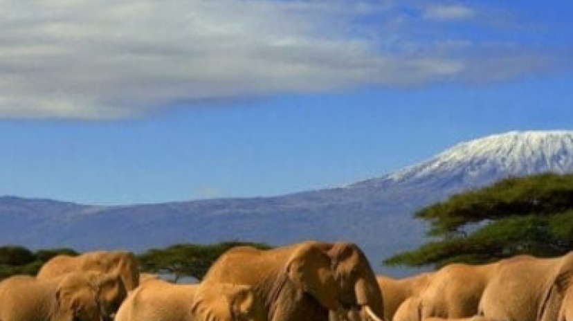 3 Days Amboseli Tour 4