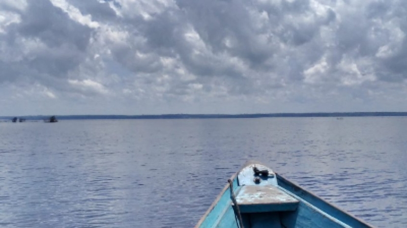 Anavilhanas Archipelago 3
