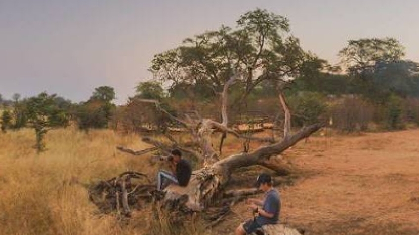 5 Days Classic Safari in Hwange National Park, Zimbabwe 3