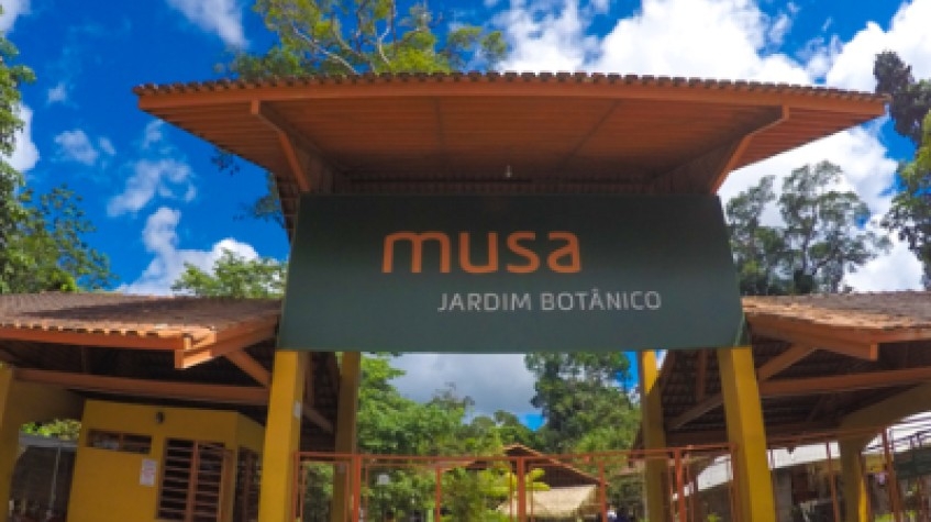 Musa, the Museum of the Amazon 1