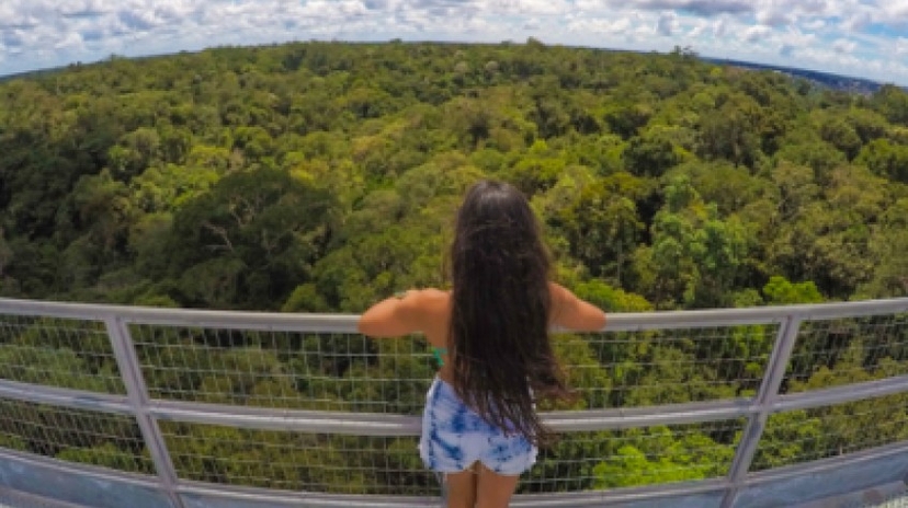 Musa, the Museum of the Amazon 2
