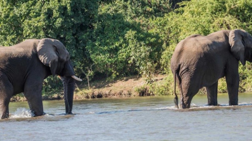 11 Days Best of Malawi Safari & Tour 2