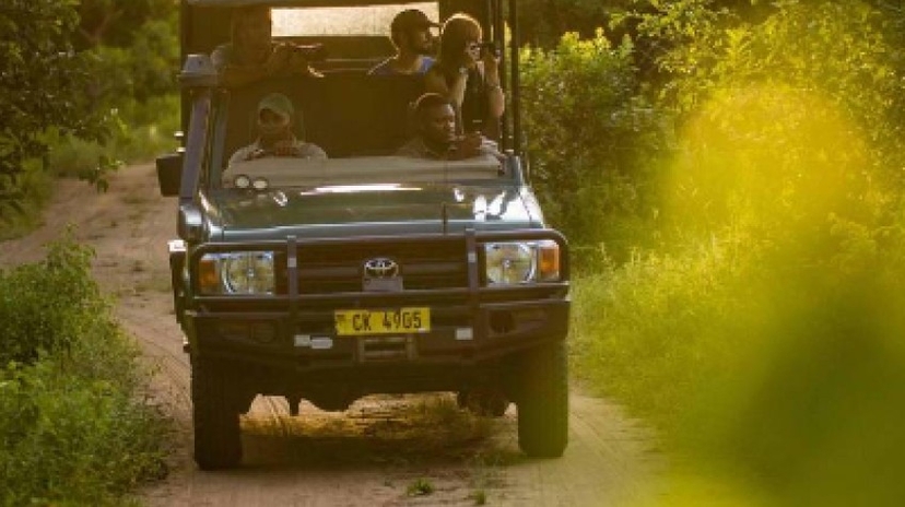 11 Days Best of Malawi Safari & Tour 4