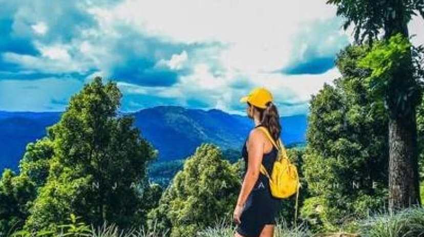 Overnight All-Inclusive Tea Plantation Adventure in Kandy 4