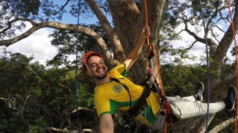 Tree Climbing 3