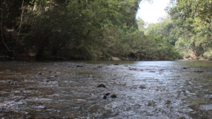 P38 3D 2N Tour Kuala Lumpur - Rainforest Taman Negara - Cameron Highlands - Penang Island drop off 2