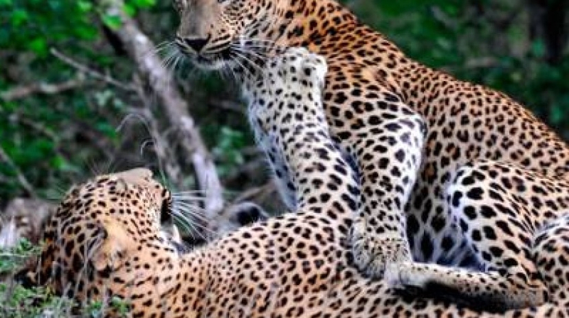 4 Days Glamping & Photography Tour 2