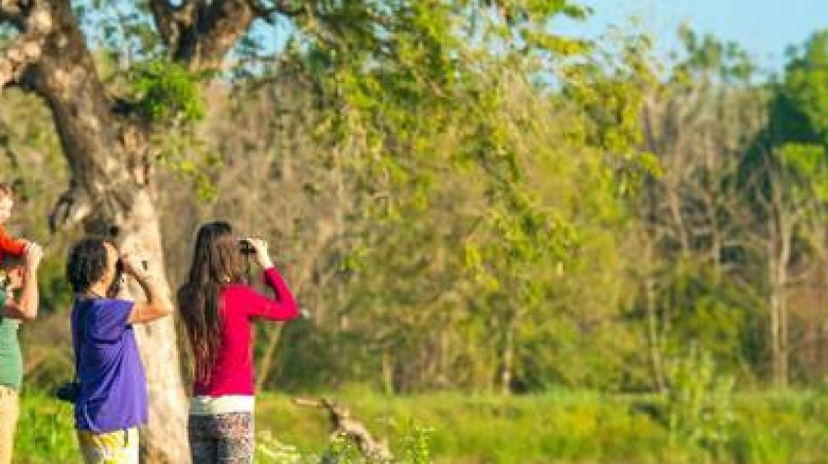 6 Days Authentic Experiences in Sri Lanka 2