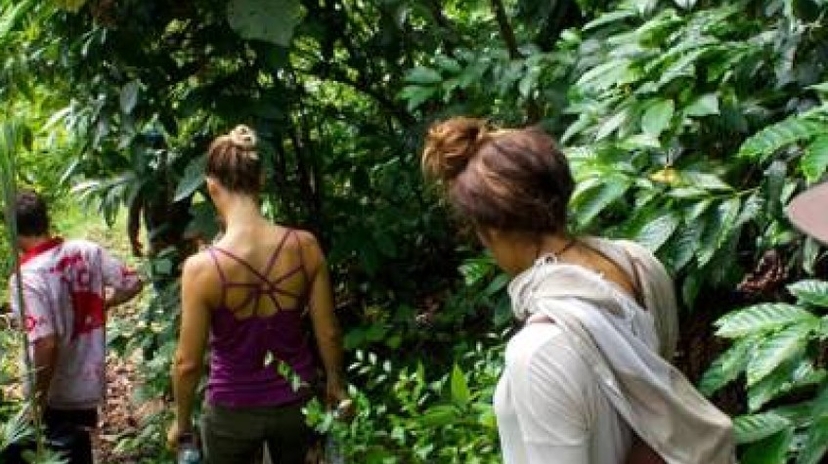 6 Days Authentic Experiences in Sri Lanka 3