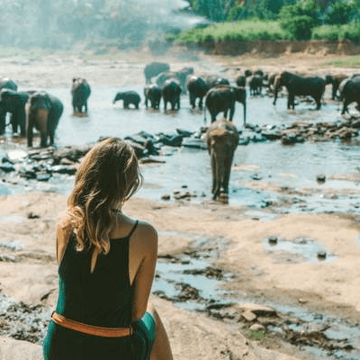 7 Days Off the Beaten Nature and Wildlife Tour 2