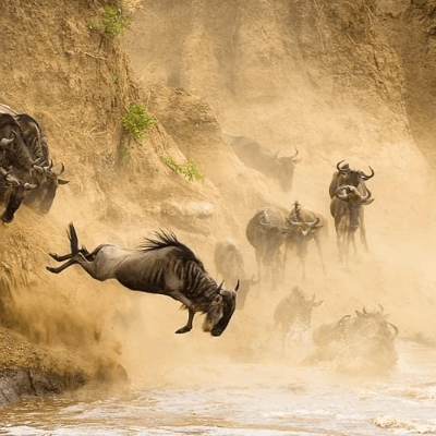 11 Days 10 Nights Bush to Beach Kenyan Adventure 3