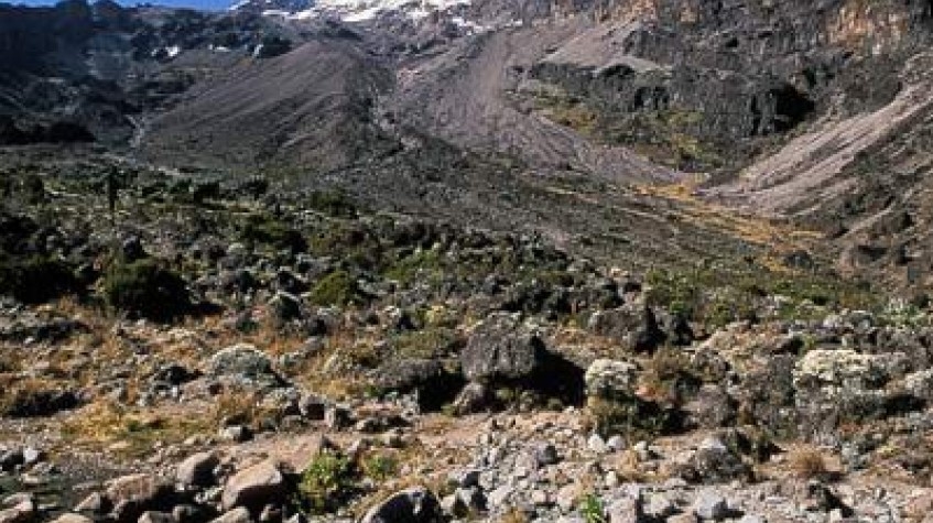 5 Days Marangu Kilimanjaro Climb 1