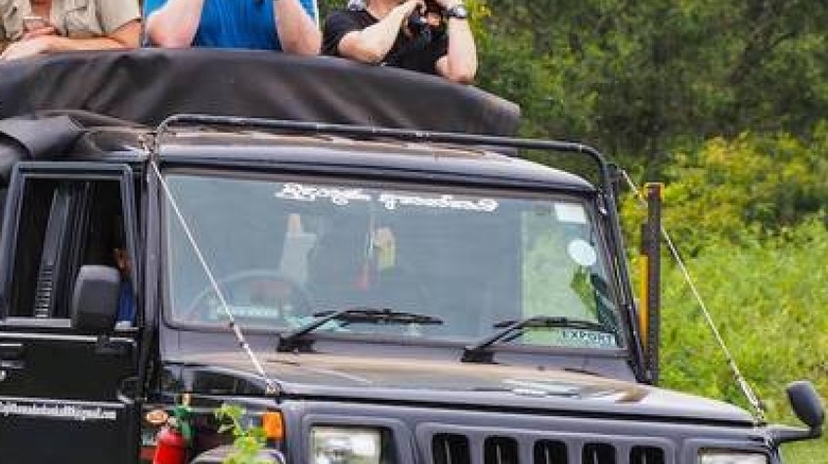 All-Inclusive Overnight Safari in Wasgamuwa With Mobile Camping 3