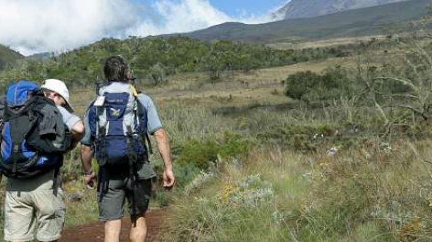 6 Days Lemosho Route Kilimanjaro 1