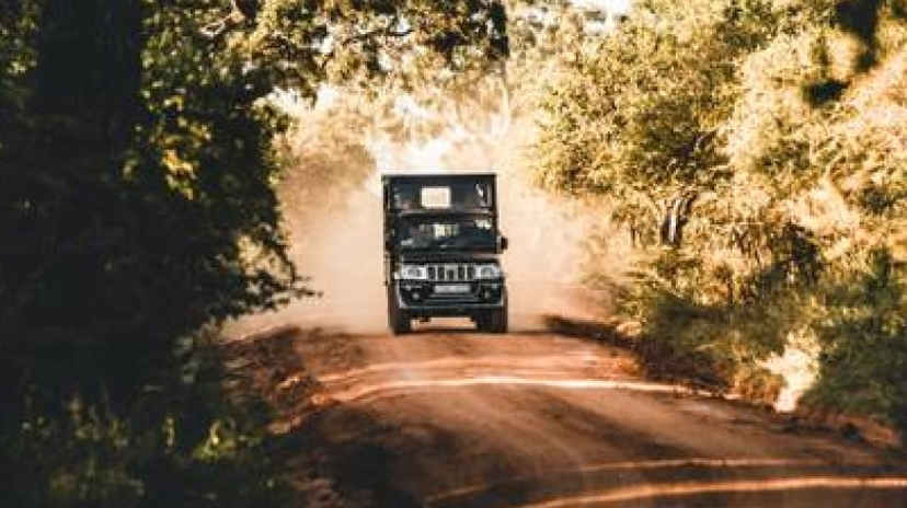 Overnight Luxury Glamping in Yala With Return Transfers (From Kandy) 2