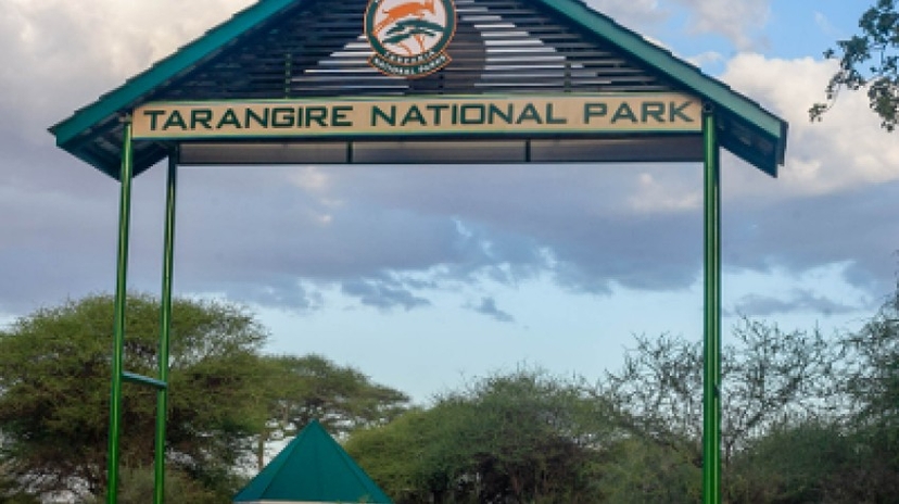 3 Days Safari Lake Manyara, Ngorongoro Crater and Tarangire National Park 4