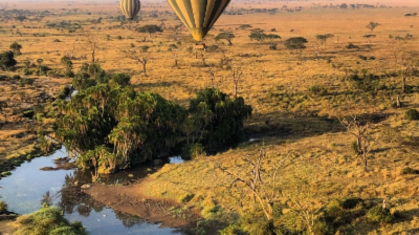 3 Days Safari Serengeti National Park 1
