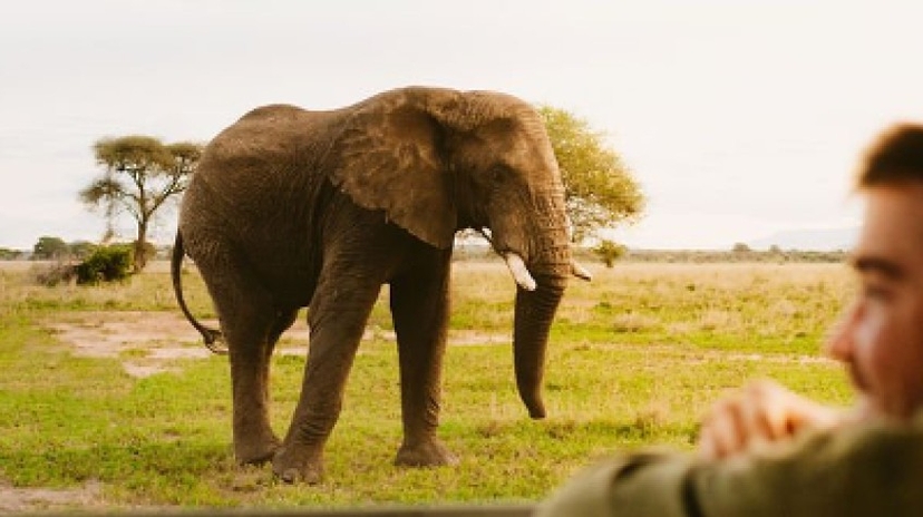 4 Days Tarangire National Park, Serengeti National Park and Ngorongoro Crater 2