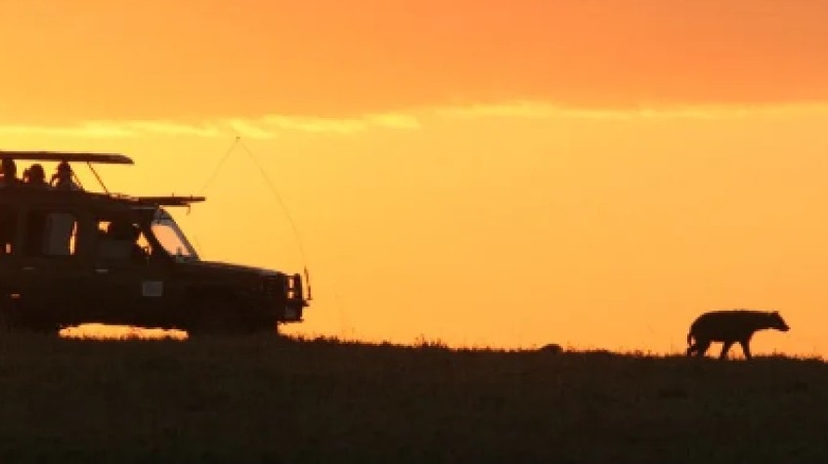 4 Days Tarangire National Park, Serengeti National Park and Ngorongoro Crater 3