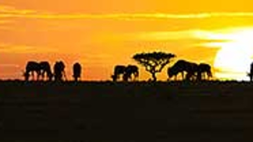 5 Days Safari Tarangire National Park, Serengeti National Park and Ngorongoro Crater 2