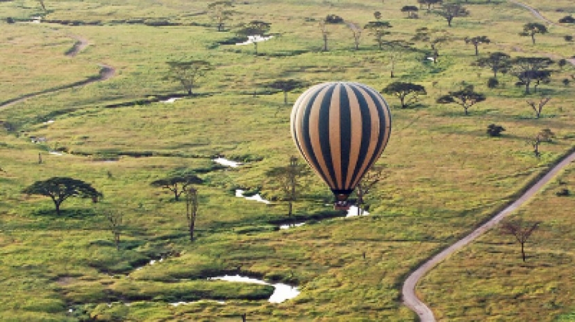 5 Days Tarangire National Park, Serengeti National Park, Ngorongoro Crater and Lake Manyara National Park 4