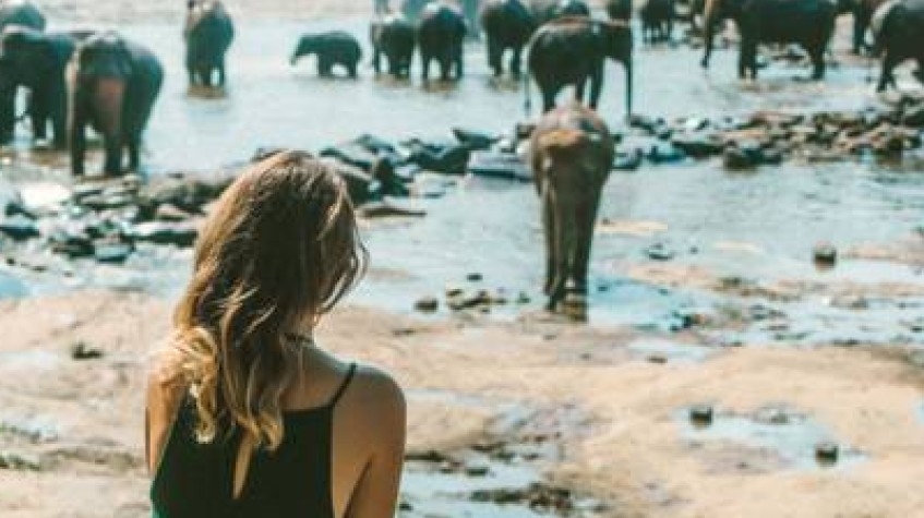 3 Days Glimpse of Sri Lanka Private Tour 1