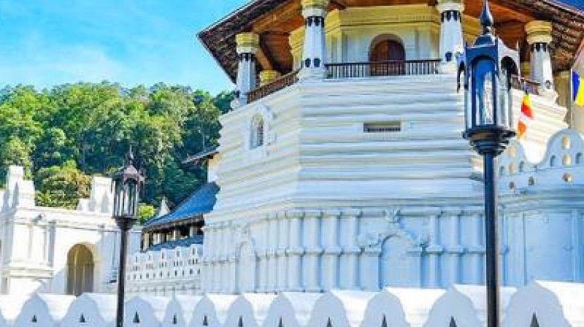 3 Days Glimpse of Sri Lanka Private Tour 2