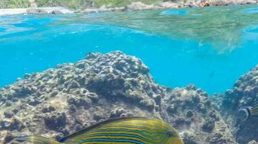 5 Days Trincomalee Sightseeing & Beach 4